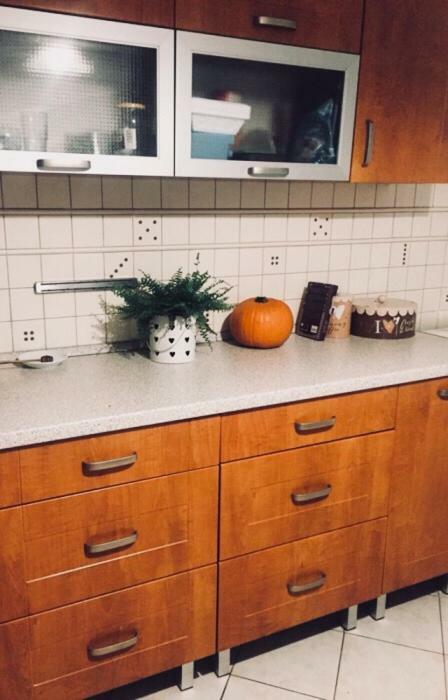 Apartament Swobodna Sosnowiec Exteriör bild
